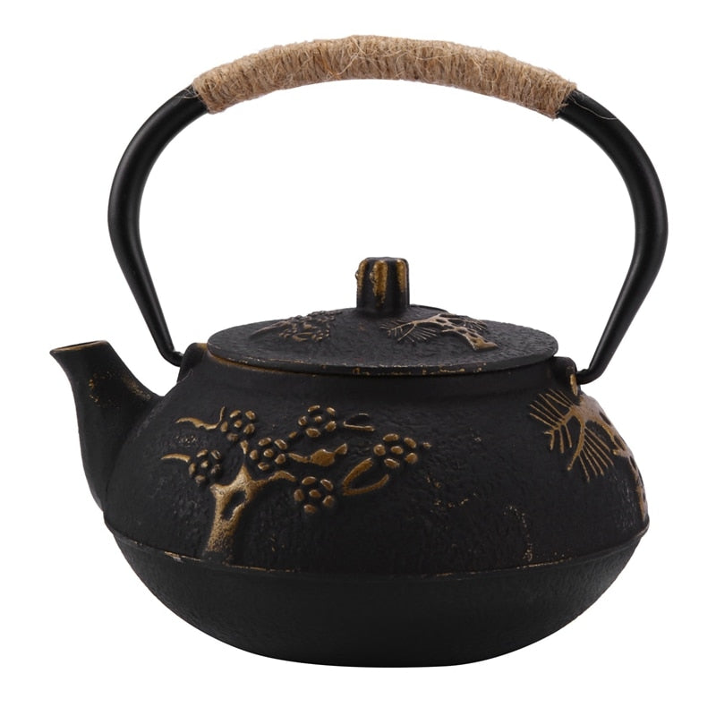 Japanese Cast Iron Teapot Kettle with Stainless Steel Infuser and Filter