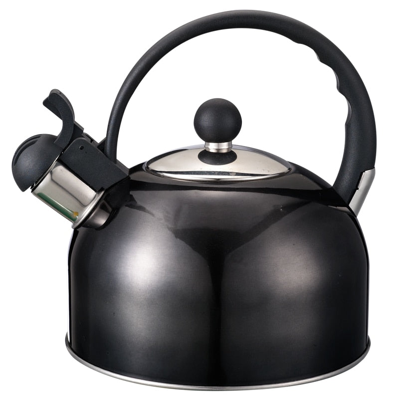 Colorful Stainless Steel Whistling Kettle – TheWokeNest